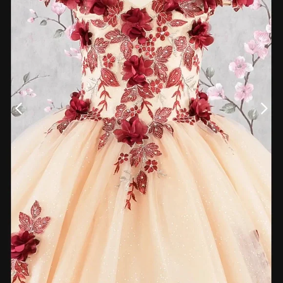 Elegant Floral Kids Dress in Cream and Red